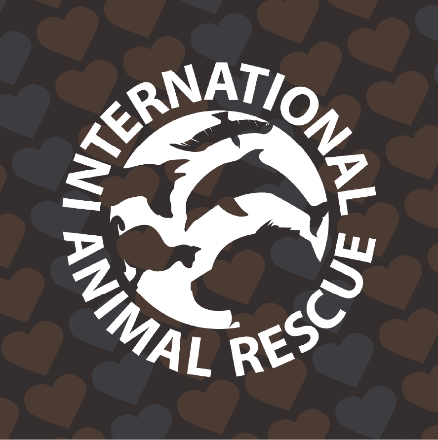 International Animal Rescue Supporter 2025